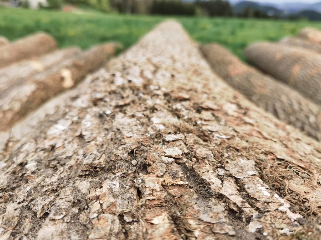 Huawei P40 Pro Test Kamera Fotos
