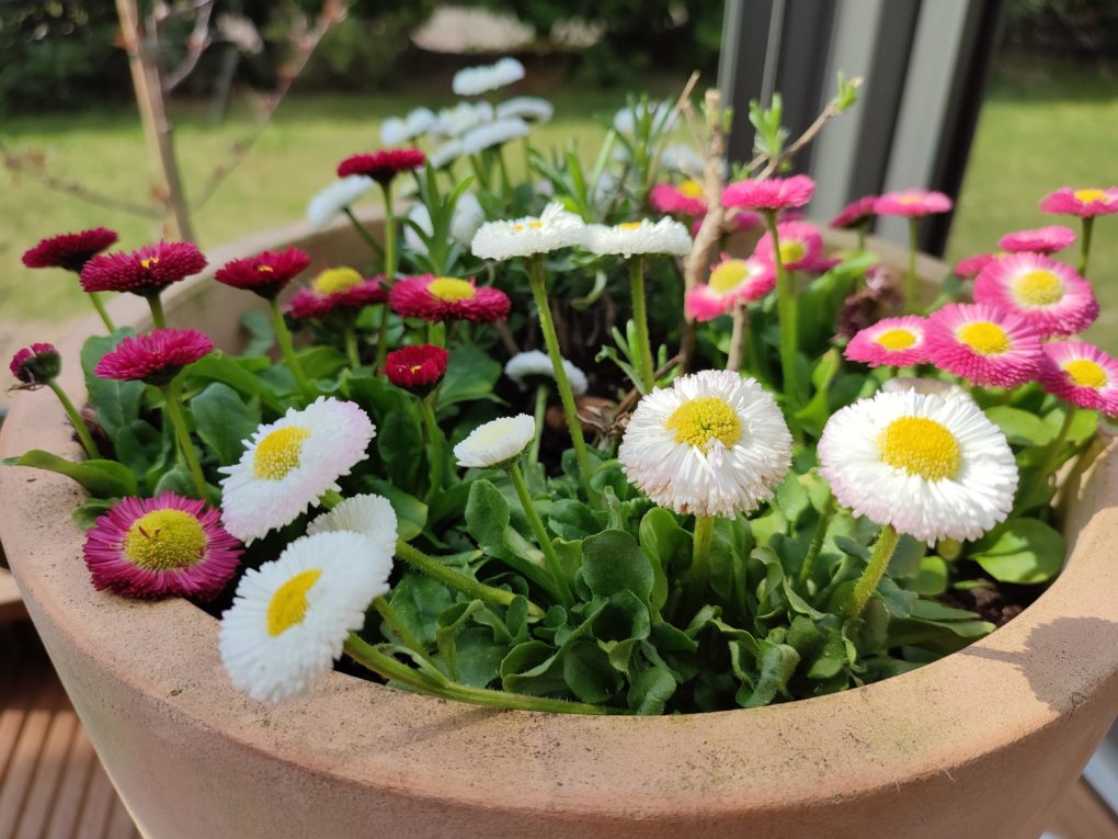 Redmi Note 10 Pro Testfoto 1