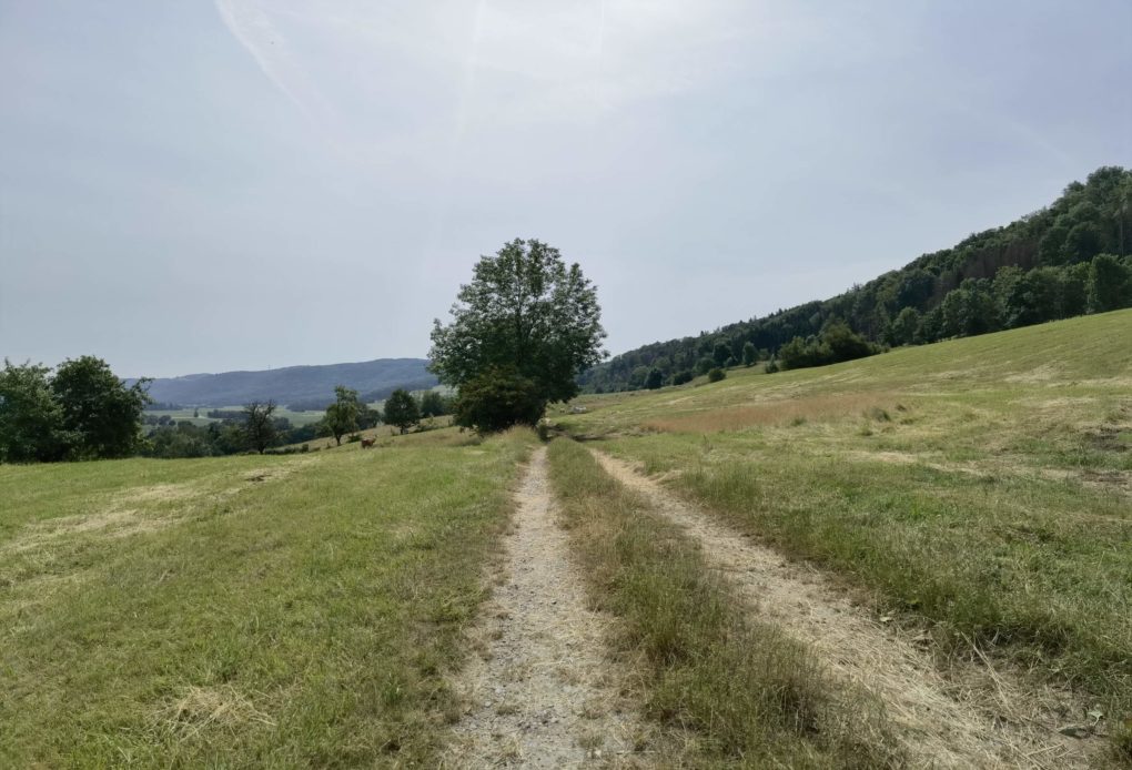 Huawei Mate 40 Pro Testfoto