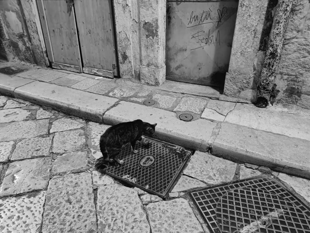 OnePlus Nord 2 Testfoto 7