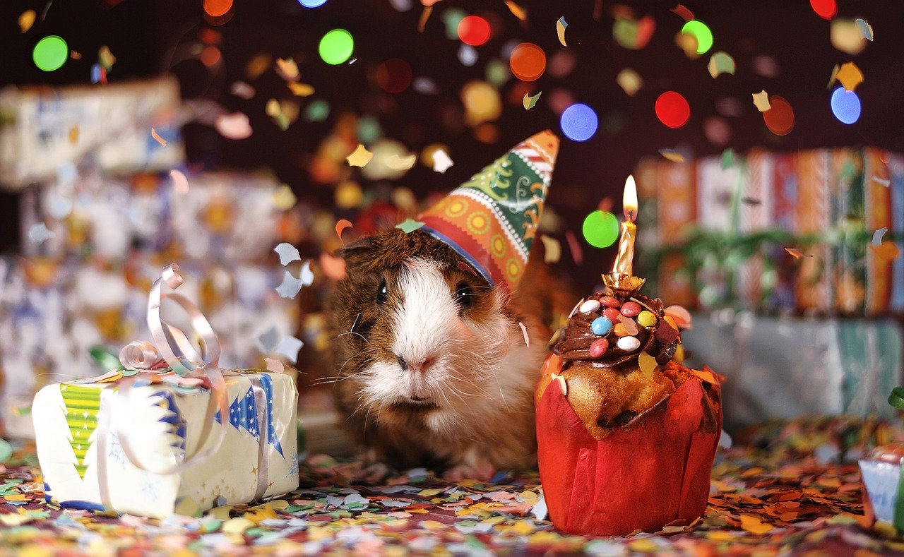 TechnikNews Geburtstag